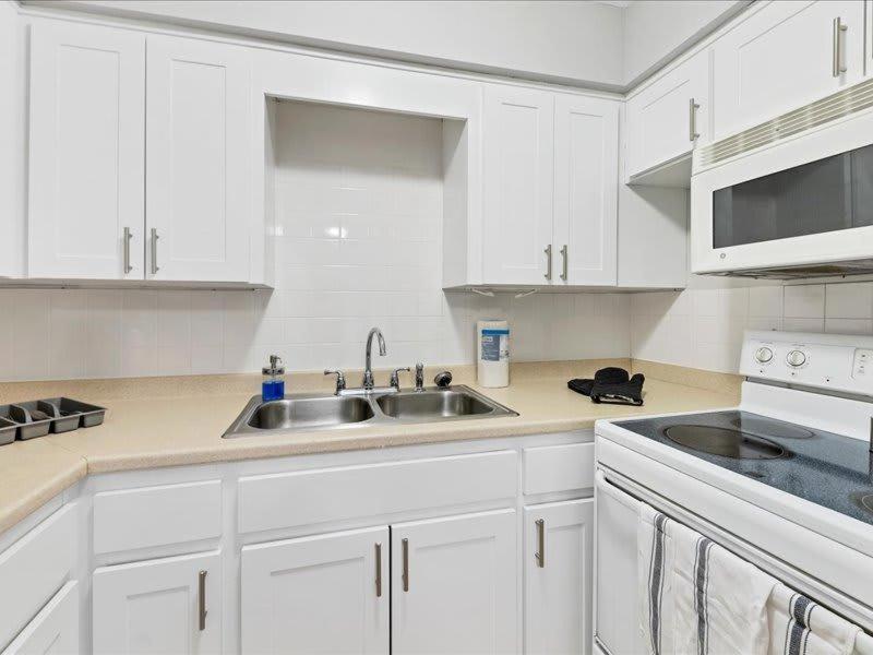 Designed And Cozy 1Br With Parking Near Stores Apartment แทมปา ภายนอก รูปภาพ